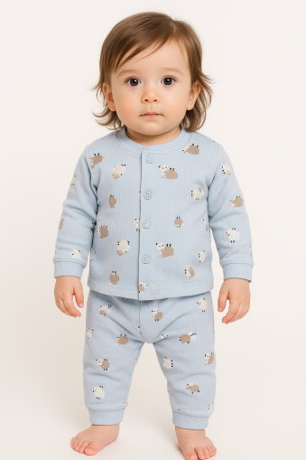 Nurhas 0-3-6 Luni Miel Printed Baby Set A27