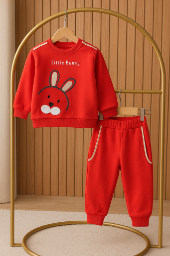 Wow 9-12-18-24 luni Set pentru bebelusi cu model iepure